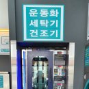 쿠르토스평택