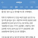 트랜스머리