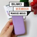 미니버디