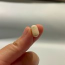 EVER FIT | 저속노화 필수템 고순도NMN 피타니 에버엔엠엔 후기 엔엠엔효과