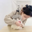 미야옹실 이미지