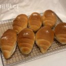 카페반디 이미지