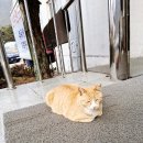 산수랜드 이미지