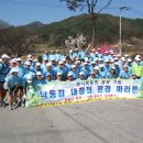 낙동강 대장정 제 2구간 47Km(경북봉화 현동삼거리~안동 한국국학진흥원) 이미지