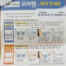임방울대로2L | 대장 내시경 알약 먹는 방법/오라팡 후기/대장 내시경 후기