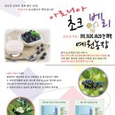 올해 첫 수확 아로니아(King's Berry) 사세요^^ 이미지