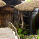 먼시골에서 이미지