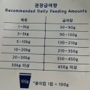프레쉬365(Fresh 365)