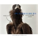 충북 야생동물센터 | 충북야생동물센터 봉사를 다녀왔다~ ft. 야생동물, 구조, 치료, 멸종위기동물,