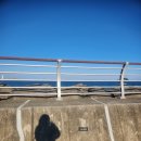 청호초등학교 | 속초 여자혼자 뚜벅이 평일 당일치기 여행ㅣ속초중앙시장 카페청호동 청호동성당 옛북청아바이순대 속초...