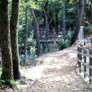 영인산자연휴양림 숲속야영장 이미지