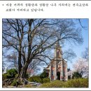 마고 이미지