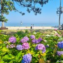 송림공원 주차장 이미지