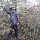 영지건강백세 이미지