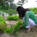 (주)제이에스코리아 이미지