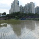 용당마을회관 이미지