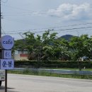 카페인운봉 이미지