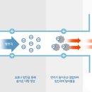 전주현농장 이미지