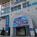 용문산 은행나무길(물소리길 6코스) 이미지