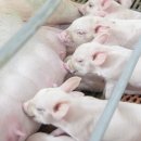 분기검문소 이미지