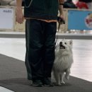 위드티쳐(WITHTEACHER) 이미지