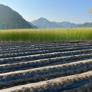 부귀농장 이미지