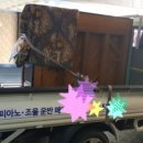 강진상회 이미지
