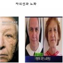 햇빛샤워
