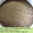 정글믹스(정글막대기),중대형앵무새용 큰 해바라기씨,영양모래,Protein Mix(혼합 단백질),쥬프림펠렛,카나리아용 펠렛 이미지