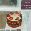 (유)미르산림개발 | 강릉 빵축제 방문기｜빵지순례 제대로 하고 왔어요