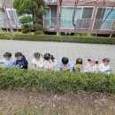 장안현대어린이집 이미지