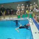 라이프가드 이미지