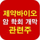 홀로직코리아 유한회사 | ASCO 2025 개막! 제약바이오 관련주 분석