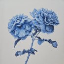 보타니컬아트(식물세밀화) | 모노톤 장미_전주세밀화_전주보태니컬아트_전주세밀화_식물세밀화_꽃닮화실