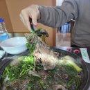 취락한방능이백숙 | 일동면맛집 취락한방능이백숙