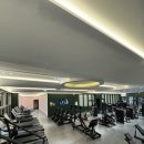 (온라인)건강다이어트댄스 이미지