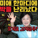 추미애 막으려던 잔챙이 친문수박들 결국... 박성민 김용태 최재성 송영길 이낙연 김두관 윤영찬 윤석열 검찰쿠데타 종전선언 반국가세력 비 이미지