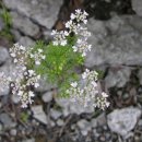 꽃소아청소년과의원 이미지