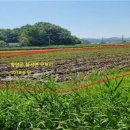 칠서면사무소 이미지