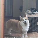 뚱이찻집
