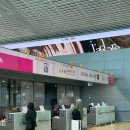 지도리의꿈민박 | 2박3일 태교여행 1일차]인천공항 교통약자 임산부...배송 델리백 이용후기/라라포트 아카짱혼포/도큐...