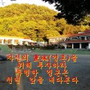 해인초등학교 이미지