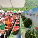 수박&토마토 축제 이미지