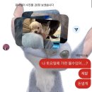 퍼피월드제주 | 아기다리 고기다린 7월