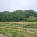 빅보이양념통닭 - 경주시 화전길 136 | 빅보이양념통닭