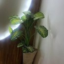 황제 세탁 | 상동마사지 찾는 분들에게 딱! 부천 감성 가득 황제풋샵마사지에서 받은 특별한 관리 이야기