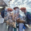 2377 | 오이도 쭈꾸미 갑오징어 승원호 시간배낚시 오후타임 후기