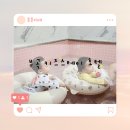 (주)키즈스테이호텔인부곡 | 대구근교 아이랑 가기좋은 가족탕 키즈스테이호텔인부곡 핑크룸 솔직후기