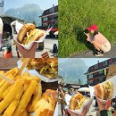 세종유 | 그린델발트 푸드트럭 맛집 알프스뷰 보며 먹는 수제햄버거