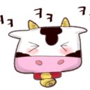 육쌈냉면 이미지